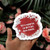 What We Do in the Shadows sticker We're Vampires, We Don't Put Down Towels.