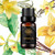 Aphrosmile Vanilla Essential Oil - 100percent Pure Vanilla Oil, Organic Therapeutic-Grade Aromatherapy Essential Oil 10mL/0.33oz