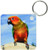 3dRose Sun Conure - Key Chains, 2.25 x 4.5 inches, set of 2 (kc_1011_1)