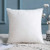 MIULEE Throw Pillow Insert, Hypoallergenic Stuffer Pillow Inserts Decorative Square Premium Sham Pillow Forms for Sofa Couch Bed 18x18 Inch White