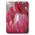 3dRose lsp_39395_1 Pink Protea Macro Flower Single Toggle Switch