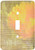 3dRose lsp_29445_1 Orange Flower Inspire Motivational quotes Toggle Switch  Multi-Color
