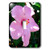 3dRose lsp_17184_1 Pink Dew Hibiscus Toggle Switch