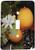 3dRose lsp_4221_1 Orange Single Toggle Switch
