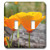 3dRose lsp_22710_2 Inspirational Orange Poppies Double Toggle Switch