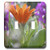 3dRose LLC lsp_11840_2 One Orange Gerber Daisy Double Toggle Switch