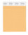 PANTONE Smart 14-1128X Color Swatch Card  Buff Orange
