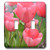 3dRose lsp_22955_2 Pink Tulips Double Toggle Switch