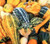 Large Gourd Squash Mix Seeds  25 Heirloom Seeds Per Packet  Non GMO Seeds  Isla's Garden Seeds