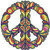 EW Designs Magnet Artistic Creative Colorful Flowing Peace Sign RED Orange Yellow Green Blue Purple Violet Pink White Magnetic Vinyl Magnet Bumper Sticker Two in One Pack  4 Inches Wide