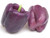 Purple Beauty Sweet Pepper Seeds  100 Heirloom Seeds Per Packet  Non GMO Seeds  Isla's Garden Seeds