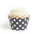 Dress My Cupcake Black Polka Dot Cupcake Wrappers  Set of 12