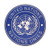Morton Home UN United Nations U.N. Badge PVC Tactical Army Airsoft Patch  Blue