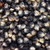 Wayland Chiles Black Aztec Heirloom Corn  100 Seeds