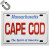Cape Cod Massachusetts License Plate Fridge Collector's Souvenir Magnet 2.5" X 3.5"