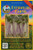 Everwilde Farms - 500 Triton Purple Sprouting Radish Seeds - Gold Vault Jumbo Seed Packet