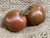 Purple Bumblebee Heirloom Tomato Premium Seed Packet