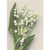 Condelence Sympathy Card 3 Pack Set  5x7  by Wright Home  and  Gift  Heal the Sorrow