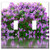 Switch Plate Double Toggle - Lilac Spring Purple Nature Lilac Flower Garden