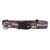Littlearth NFL Minnesota Vikings Team Pet Collar  Small Purple