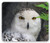 Ambesonne Wizard Mouse Pad  Pattern White Owl Themed Animal Green Leaves Amber Eyes Gift Witchcraft Print  Rectangle Non-Slip Rubber Mousepad  Standard Size  Black White