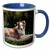 3dRose Australian Shepherd Dog-US05 ZMU0027-Zandria Muench Beraldo Two Tone Mug  11 oz  Blue White