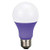 Energetic -Watt EQ A19 Purple LED Light Bulb