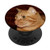 Orange Red Stripe Cat Kitty PopSockets PopGrip  Swappable Grip for Phones  and  Tablets
