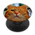 Winking Orange Tabby Cat PopSockets PopGrip  Swappable Grip for Phones  and  Tablets