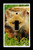 Single Toggle  1-toggle  Light Switch Plate Cover - African Wildlife Safari Animals - Fox