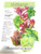 BOTANICAL INTERESTS Organic Lettuce Mesclun Grmt Baby Seed  1 EA
