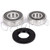 Polaris Magnum 325 ATV Rear Wheel Bearings  and  Seals Kit 2000-2002
