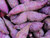 Elwyn 55pcs Molokai Purple Sweet Potato Vegetable Seeds