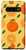 Galaxy S10 Plant Fruit Pattern Gift Fresh Oranges Citrus Tropical Fruit Case