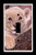 Single Toggle  1-toggle  Light Switch Plate Cover - African Wildlife Safari Animals - Cub