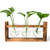 Gonioa Propagation Station  Desktop Glass Planter Bulb Vase Plant Terrarium with Retro Solid Wooden Stand for Hydroponics Plants Home Garden Office Decor