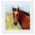 3dRose qs_4592_1 Paint Horse Portrait-Quilt Square  10 by 10-Inch