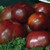 Tomato Garden Seeds - Black Russian - 100 Seeds - Non-GMO  Heirloom Vegetable Gardening Seed