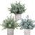 LELEE Artificial Potted Plants Mini Fake Plants  3 Pack Small Eucalyptus Potted Faux Rosemary Green Decorative Plant with Pot for Home Decor  Indoor  Office  Shelf  Desk  Table Decoration
