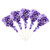 Grape Dum Dums Purple Party Pops