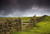 Posterazzi Stone Fence Yorkshire England Poster Print   17 x 11