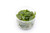 Ultum Nature Systems Lagenandra meeboldii 'Red' in Vitro Tissue Culture Cup