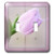 3dRose lsp_33786_2 Pink Framed Tulip- Flowers- Photography-Easter Toggle Switch  Multi-Color