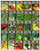 Set of 25 Premium Vegetable  and  Herb Seeds - 25 Deluxe Variety Premium Vegetable  and  Herb Garden 100% Non-GMO Heirloom
