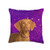 K9PrintArt Vizsla - Hungarian pointer puppy on purple Throw Pillow  16x16  Multicolor