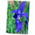 3D Rose A Beautiful Blue and Purple Iris Towel  15" x 22"
