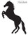 Vinyl Decal Sticker for Computer Wall Car Mac Macbook and More Horse Decal - Size 5.2 x 3.8 inches