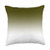 Swesly Totes  and  Pillows Ombre Dark Green Emerald AEJT164 Throw Pillow  18x18  Multicolor