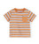 Hatley Baby Boys Graphic Tee  Orange Stripes  6-9 Months