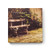 Provence Sante PS Soap Vervain  2.7oz 4 Bar